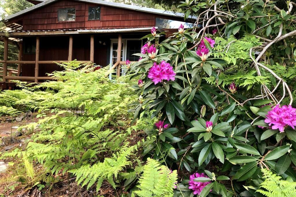 The Cabin In แพ็ควูด ภายนอก รูปภาพ